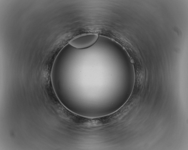 X0000113960609200909251402