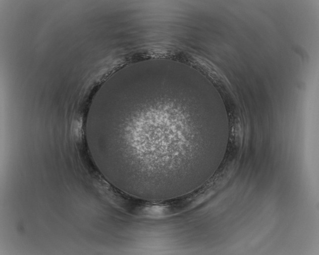 X0000113960610200909251401