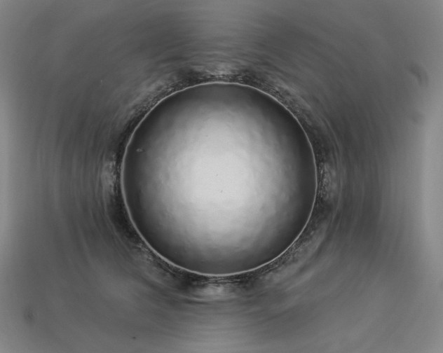 X0000113960612200909251401