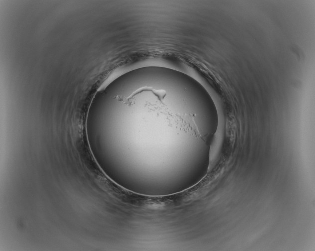 X0000113960613200909251401