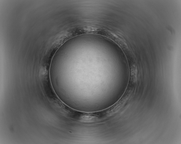 X0000113960614200909251401