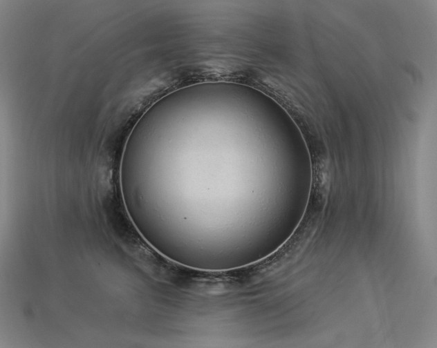 X0000113960615200909251401