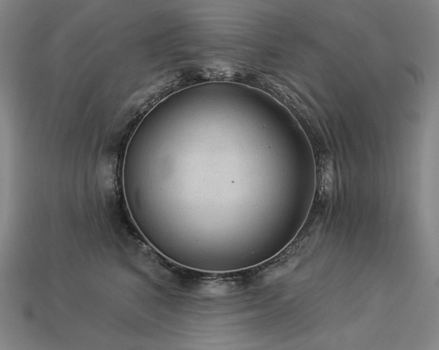 X0000113960616200909251401