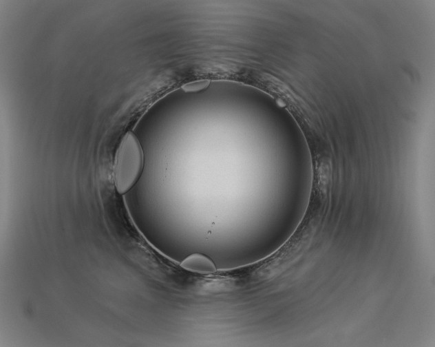 X0000113960617200909251401