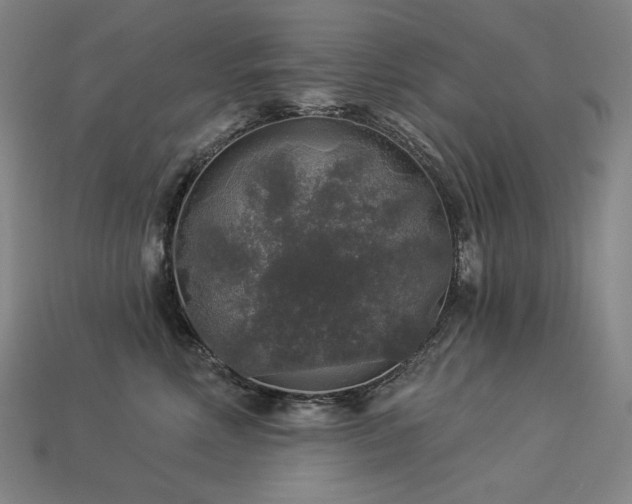 X0000113960618200909251401