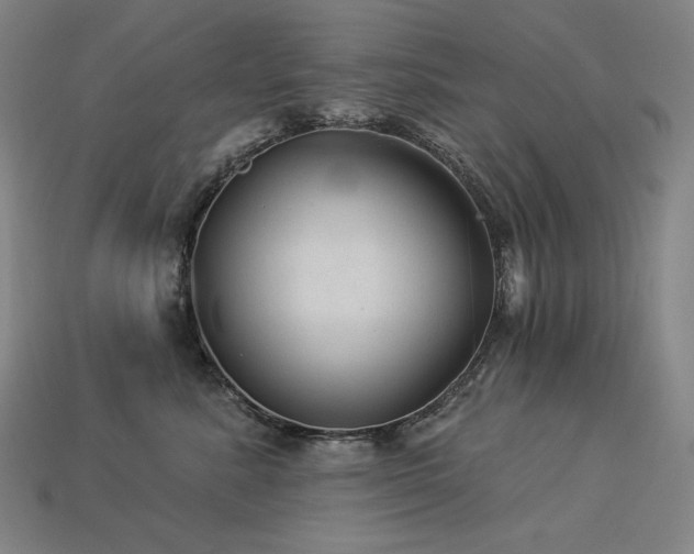 X0000113960619200909251401