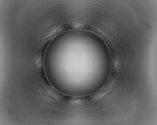 X0000113960620200909251401