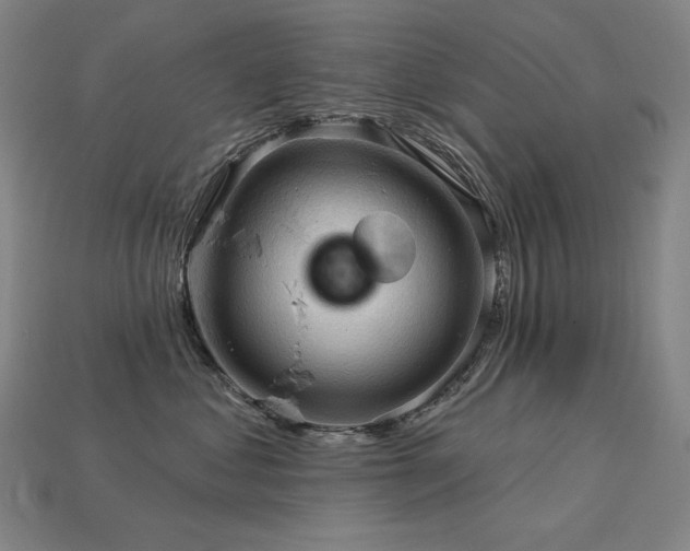 X0000113960621200909251401