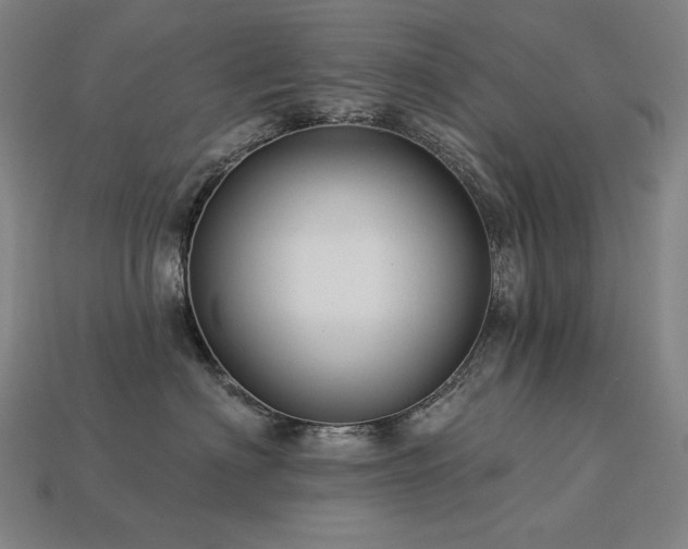 X0000113960622200909251401