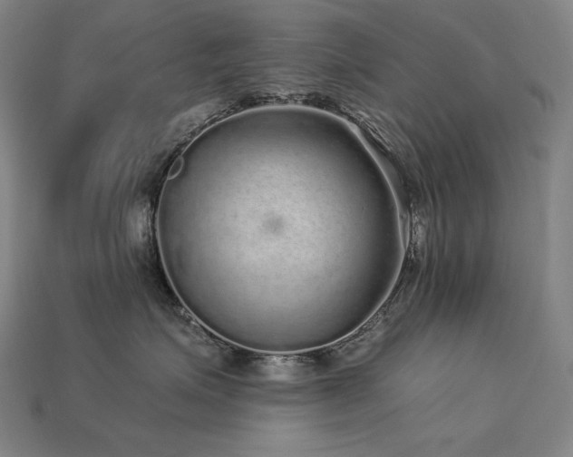 X0000113960623200909251401