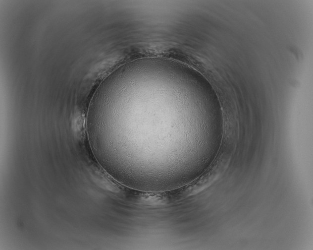 X0000113960624200909251401