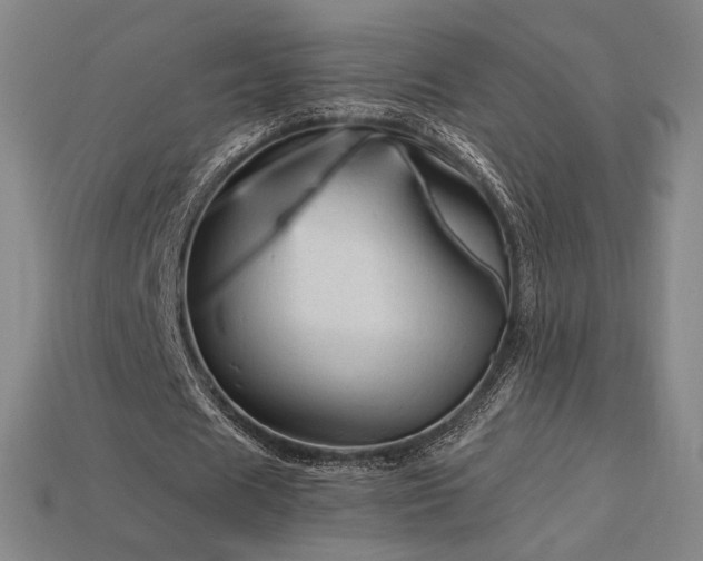 X0000113960625200909251401