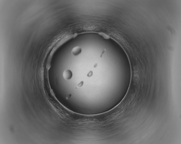 X0000113960626200909251401