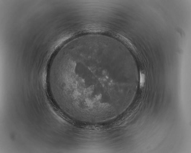 X0000113960627200909251401