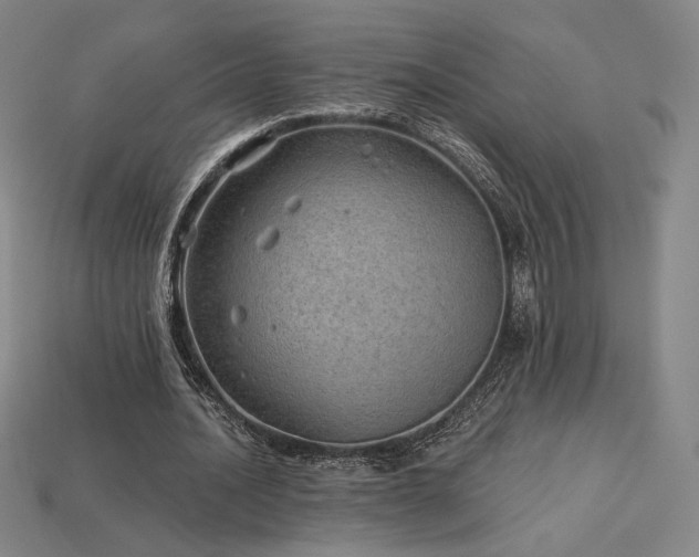 X0000113960628200909251401