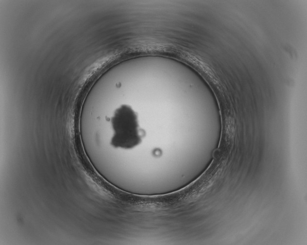 X0000113960629200909251401