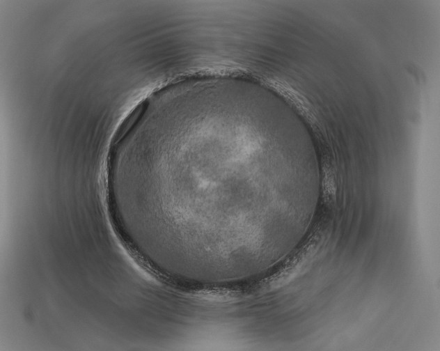 X0000113960630200909251401