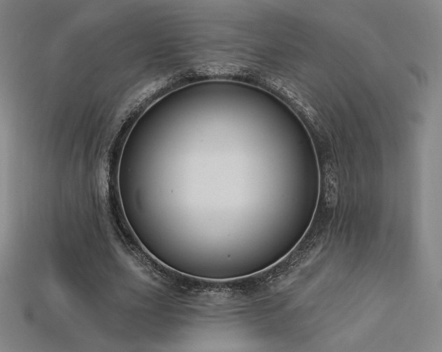 X0000113960631200909251401