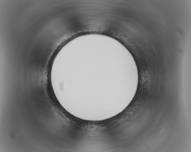 X0000113960632200909251401