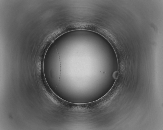 X0000113960633200909251401