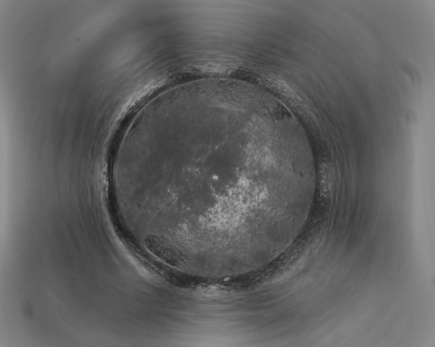 X0000113960634200909251401