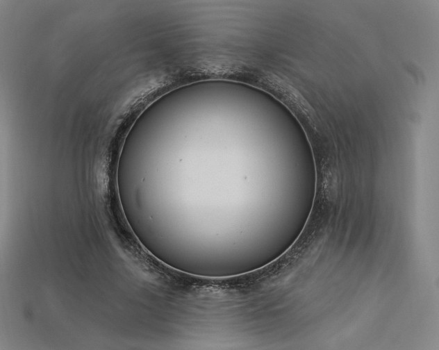 X0000113960635200909251401