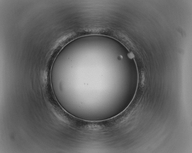 X0000113960636200909251401