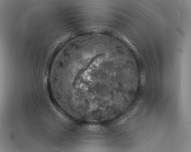 X0000113960637200909251401