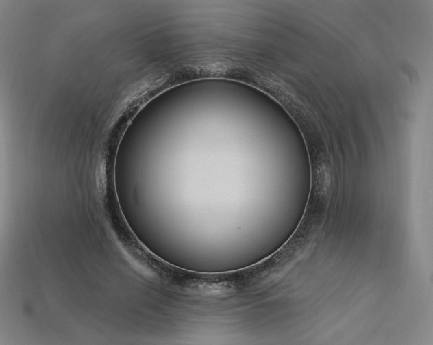 X0000113960638200909251401