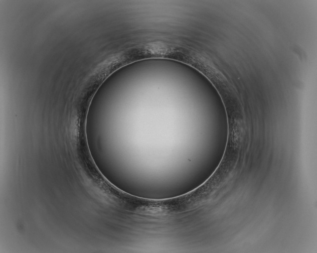 X0000113960639200909251401