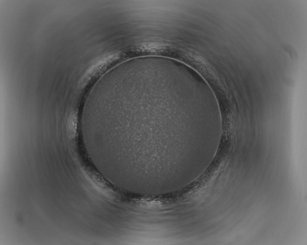 X0000113960640200909251401