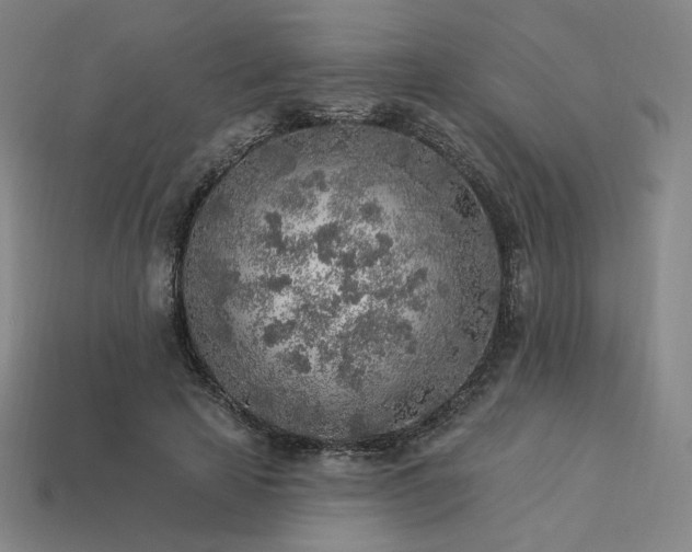 X0000113960641200909251401