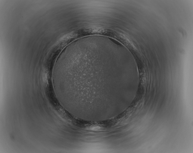 X0000113960643200909251401