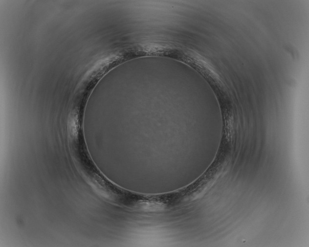 X0000113960644200909251401