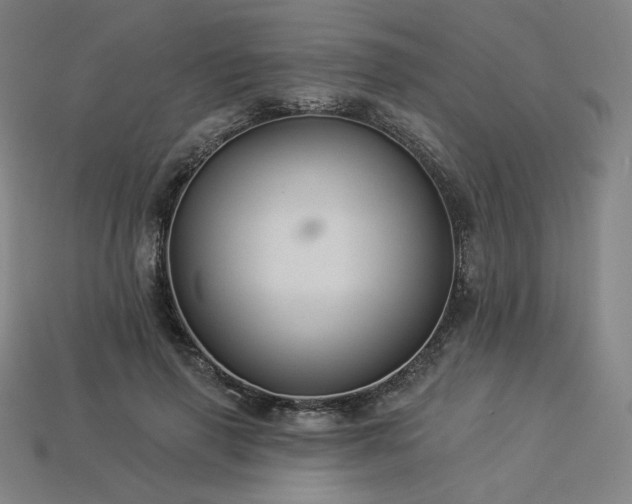 X0000113960645200909251401