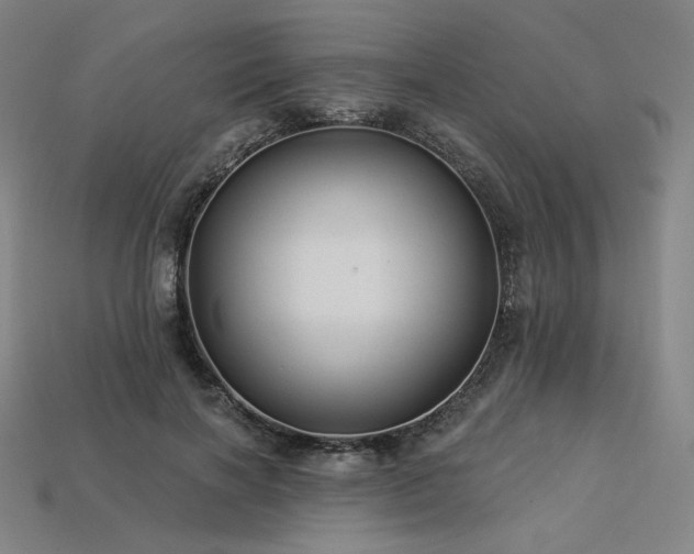 X0000113960646200909251401