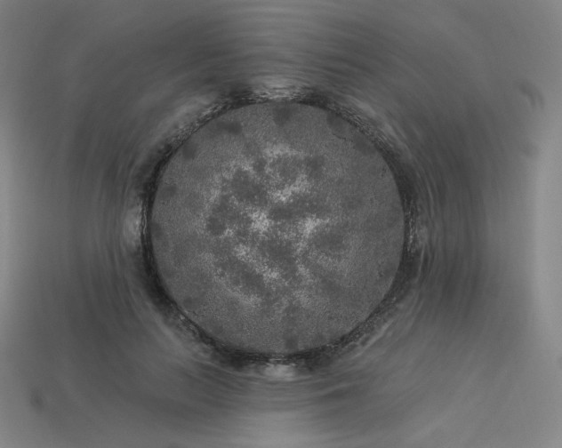 X0000113960647200909251401