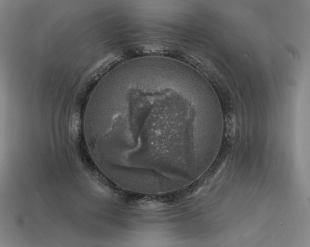 X0000113960648200909251401