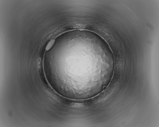 X0000113960649200909251401