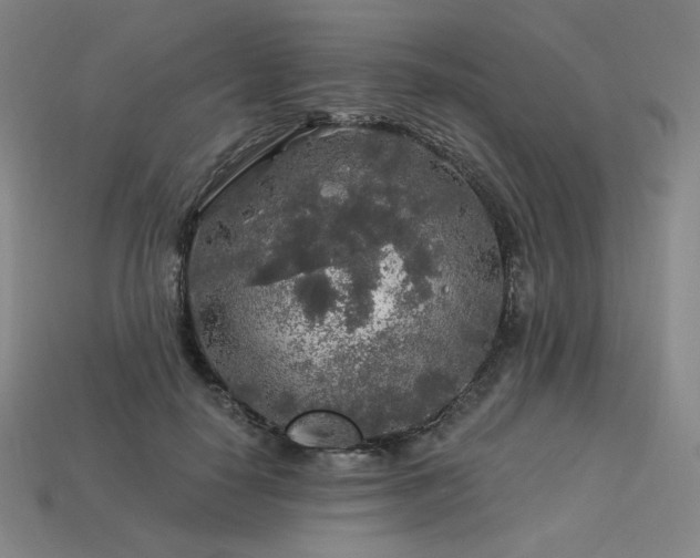 X0000113960650200909251401