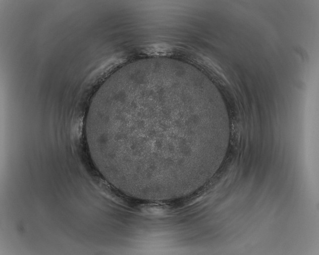 X0000113960652200909251401