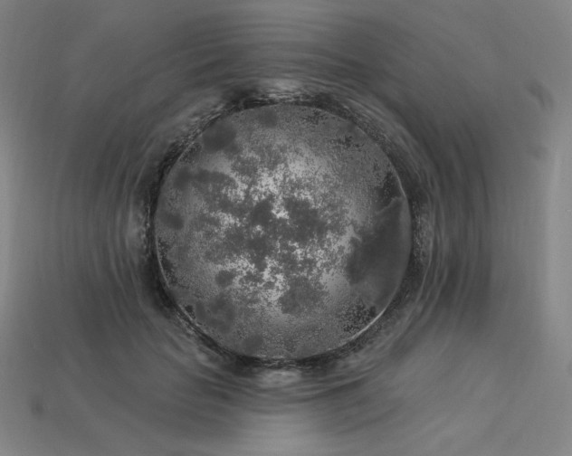 X0000113960653200909251401