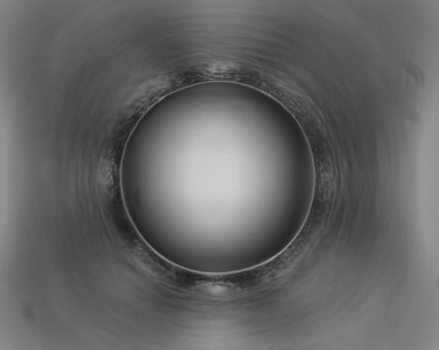 X0000113960654200909251401