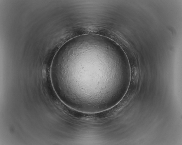 X0000113960655200909251401