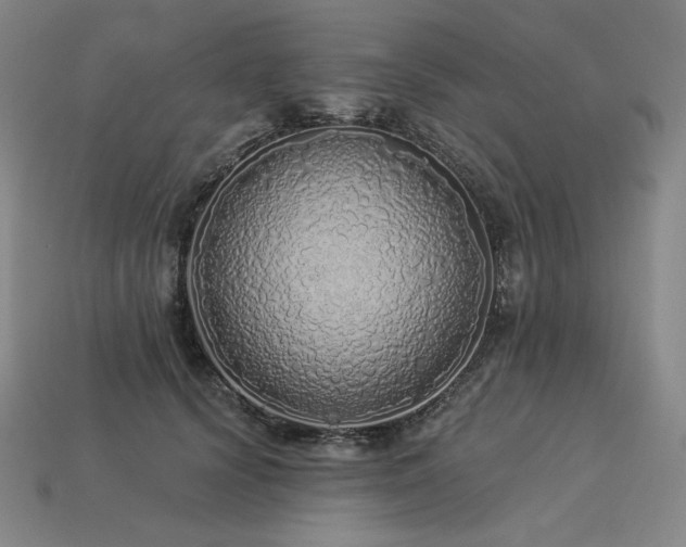 X0000113960656200909251401