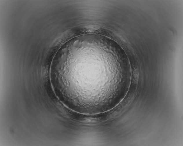 X0000113960657200909251401