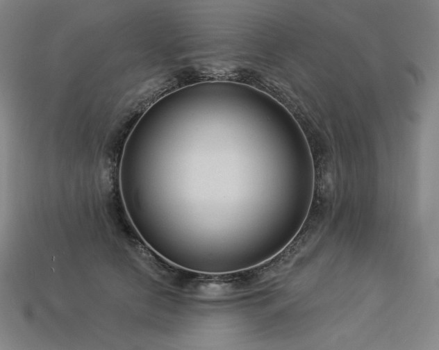 X0000113960658200909251401