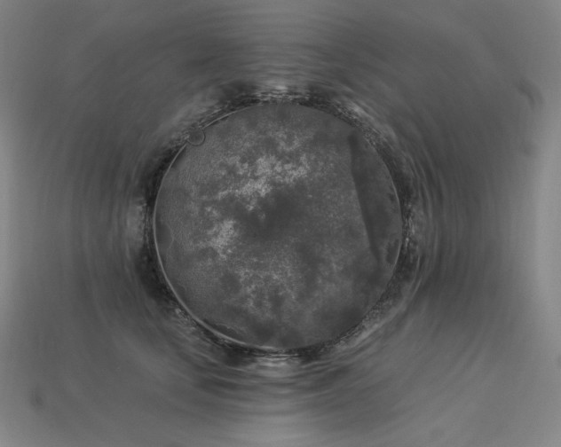 X0000113960659200909251401