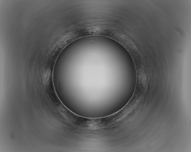 X0000113960660200909251401