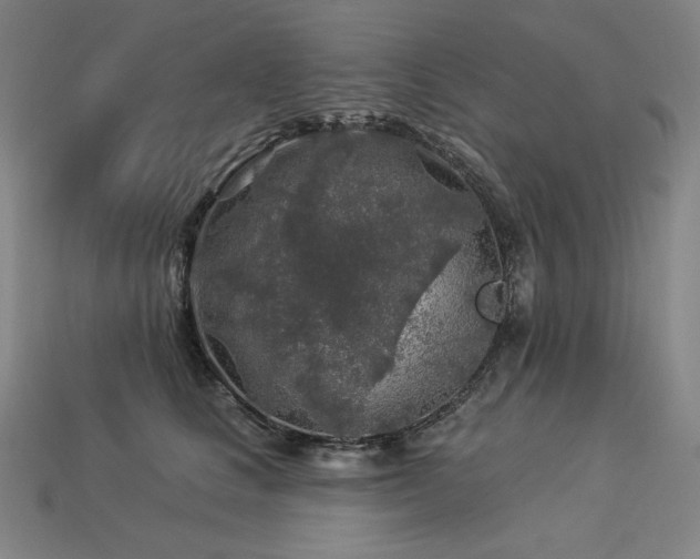 X0000113960661200909251401